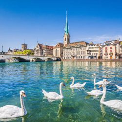 Beautiful view of the historic city center of Zurich with famous Fraumunster Church and swans on river Limmat on a sunny day with blue sky, Canton of Zurich, Switzerland.